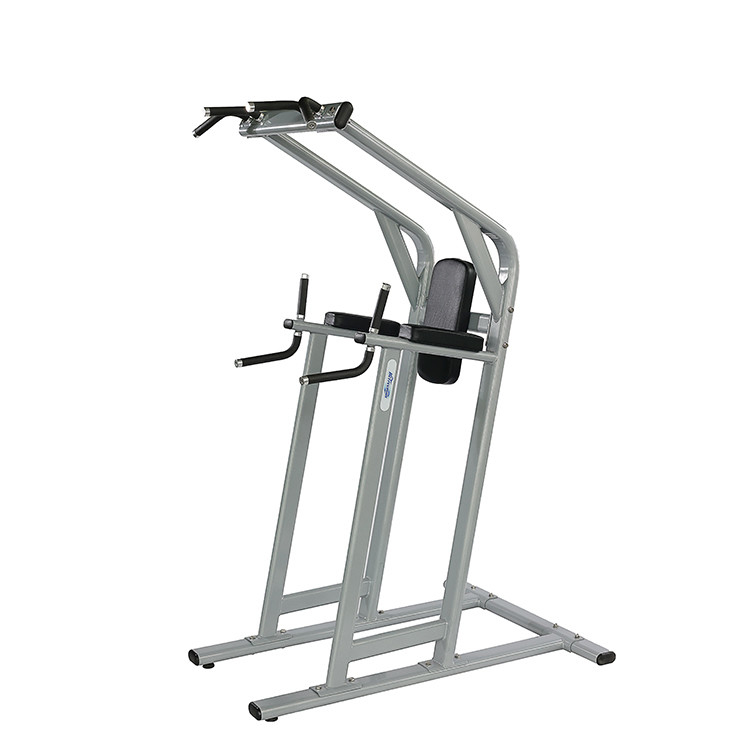 Gym Center Frame Kleur Optioneel Selecteerbaar Kin Dip Leg Raise Oefening Fitness Machine