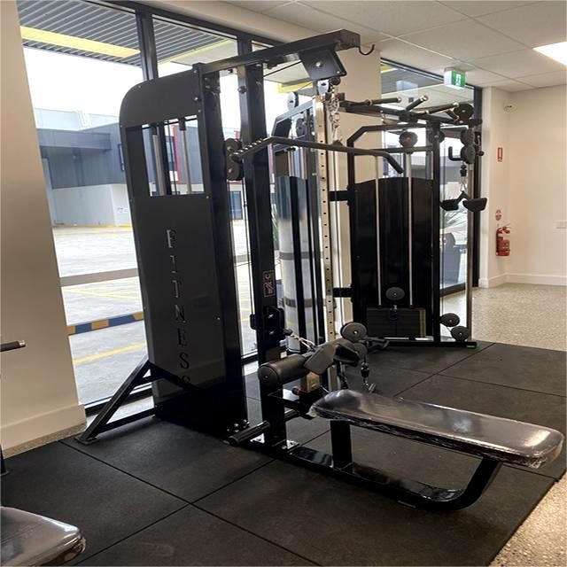 Dropset Pins Dual Function Borst Achteruitdrukkers Low Row Lat Pulldown Machine voor 3 jaar