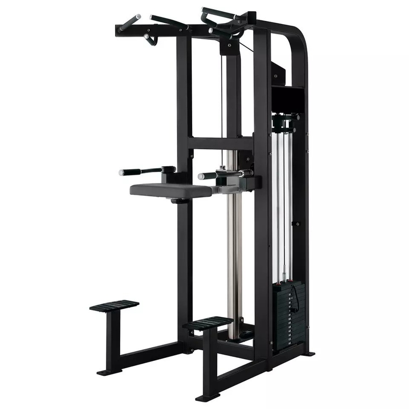 Gepersonaliseerde logo pin geladen fitness geselecteerde assistent dip kin machine voor bodybuilding 262kg